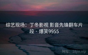 综艺现场：丁冬影视 影音先锋翻车片段 · 爆笑9955