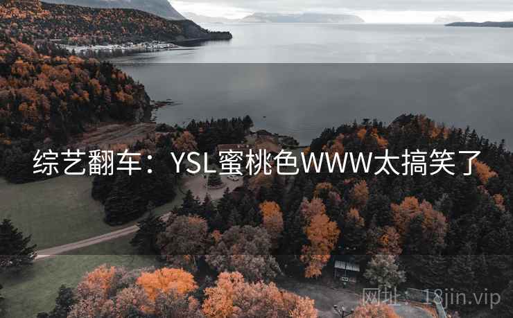 综艺翻车：YSL蜜桃色WWW太搞笑了